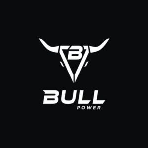 Bull Power Logo - Desainer.id - Jasa Logo Murah - Jasa Logo Profesional - Desainer Grafis