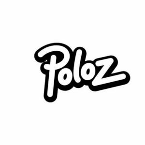Poloz Logo - Desainer.id - Jasa Logo Murah - Jasa Logo Profesional - Desainer Grafis